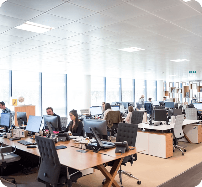 Why choose Hashlogics for Web App Development?